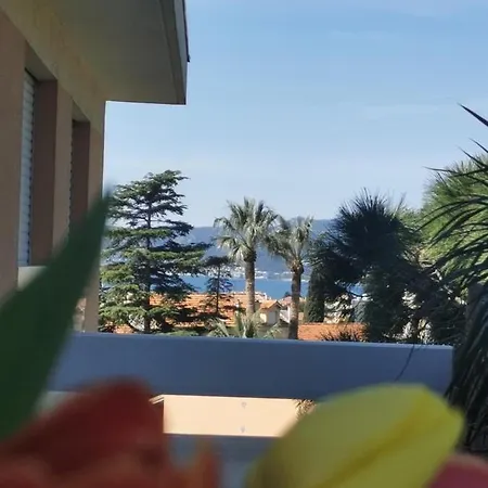 Terrasse Vue Mer, Proche Croisette Et Suquet, Climatise, Parking Apartment Cannes
